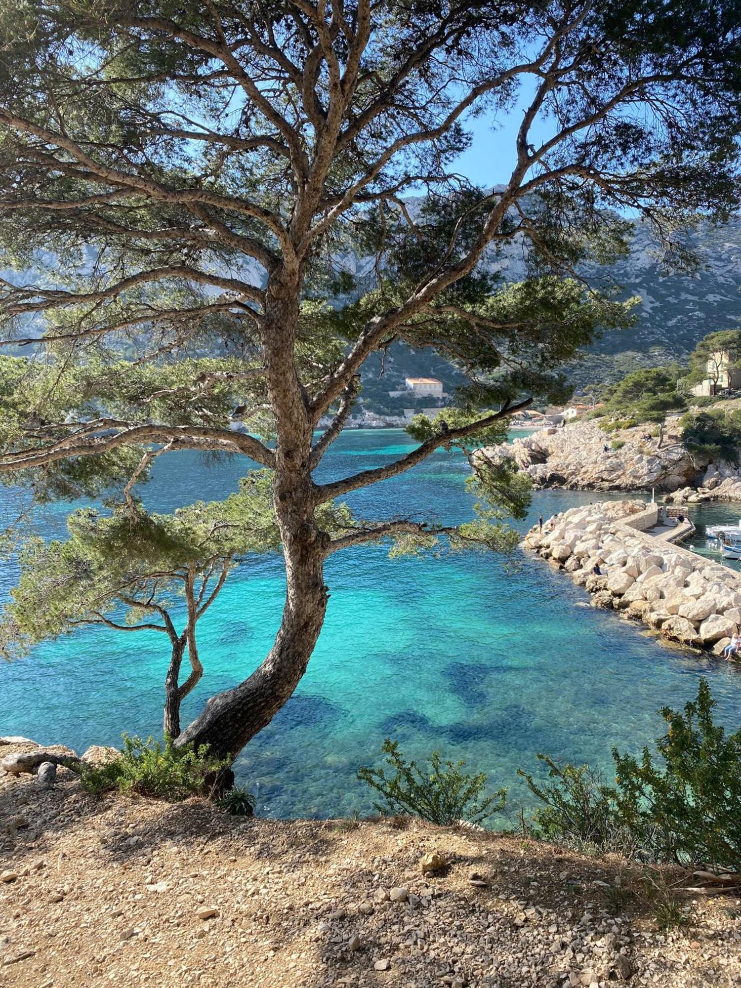 Appartement Lumineux Proche Calanques Marseille Extérieur photo